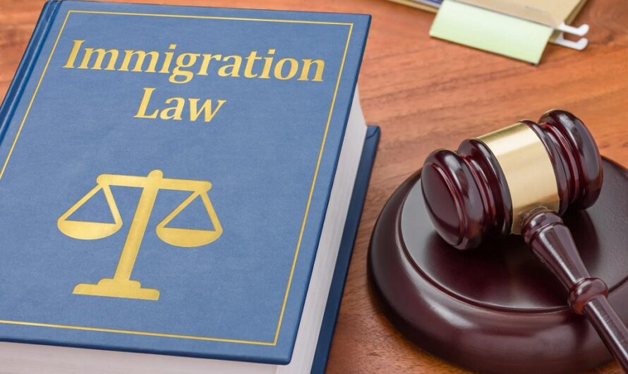 Navigating the Immigration Process: The Essential Role of an Immigration Attorney